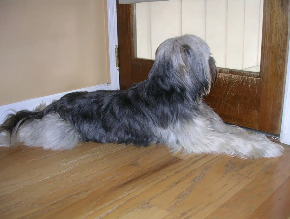 рис 5.png рис 5.png