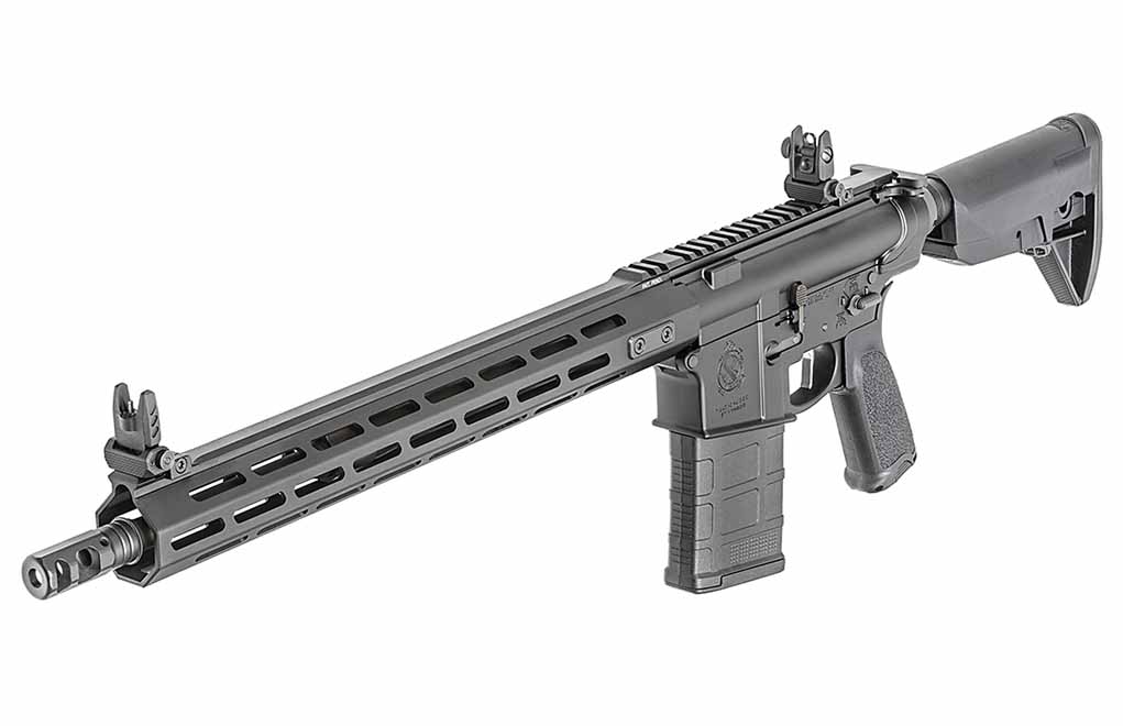 рис 5.jpeg 5 лучших вариантов AR-10, которые вы действительно можете себе позволить (2022)